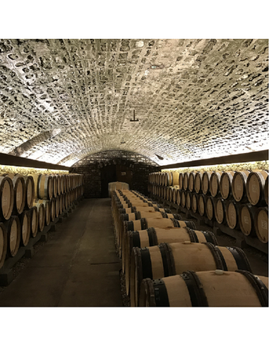 HYDROFUGE PROTECTEUR MURS ET SOLS