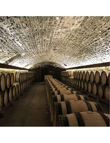 HYDROFUGE PROTECTEUR MURS ET SOLS