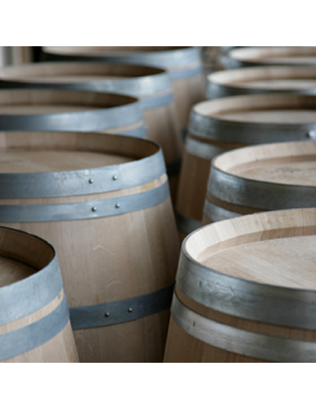 VERNIS DE PROTECTION INERTE À COV0+:  TONNEAUX, BARRIQUES, FOUDRES, TOUTES MENUISERIES EN CAVE.