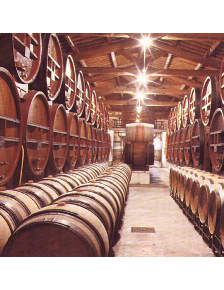 TRAITEMENT DES BOIS INSECTICIDE ET FONGICIDE EN MICRO-ÉMULSION (ME) PRÊTE À L'EMPLOI EN PHASE AQUEUSE