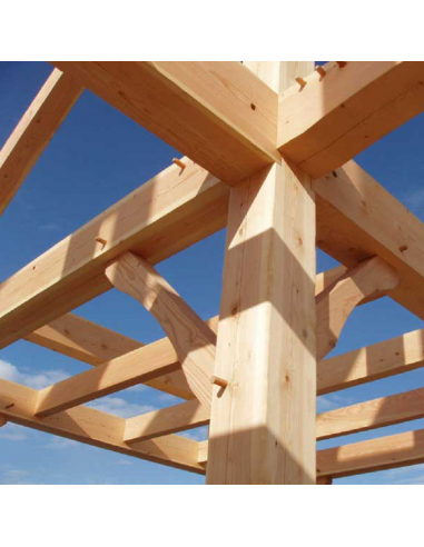 TRAITEMENT DES BOIS INSECTICIDE ET FONGICIDE EN MICRO-ÉMULSION (ME) PRÊTE À L'EMPLOI EN PHASE AQUEUSE