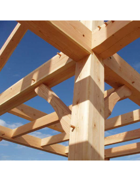 TRAITEMENT DES BOIS INSECTICIDE ET FONGICIDE EN MICRO-ÉMULSION (ME) PRÊTE À L'EMPLOI EN PHASE AQUEUSE