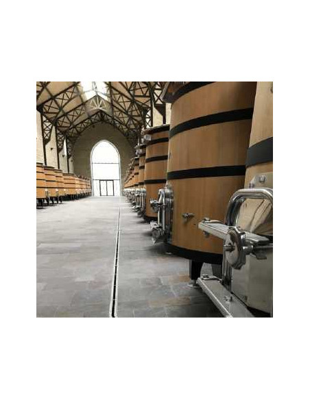 ANTIFOULING PAINT DESIGNED FOR CELLARS